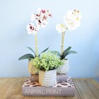 Arranjo De Folhagem Artificial No Vaso Geométrico | Formosinha